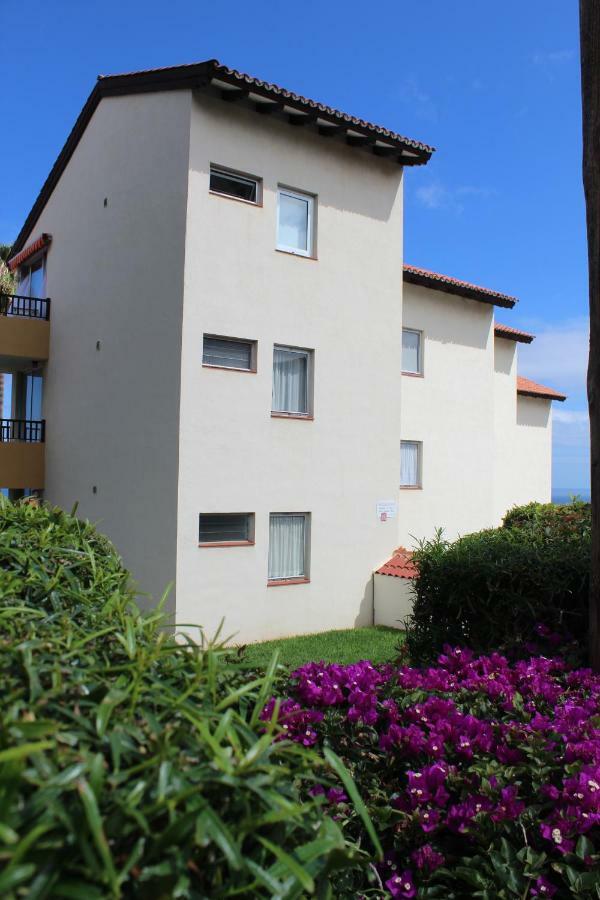 Holidaynorthtenerife Exotic Apartament Los Realejos Esterno foto