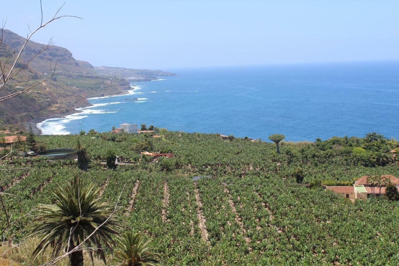 Holidaynorthtenerife Exotic Apartament Los Realejos Esterno foto