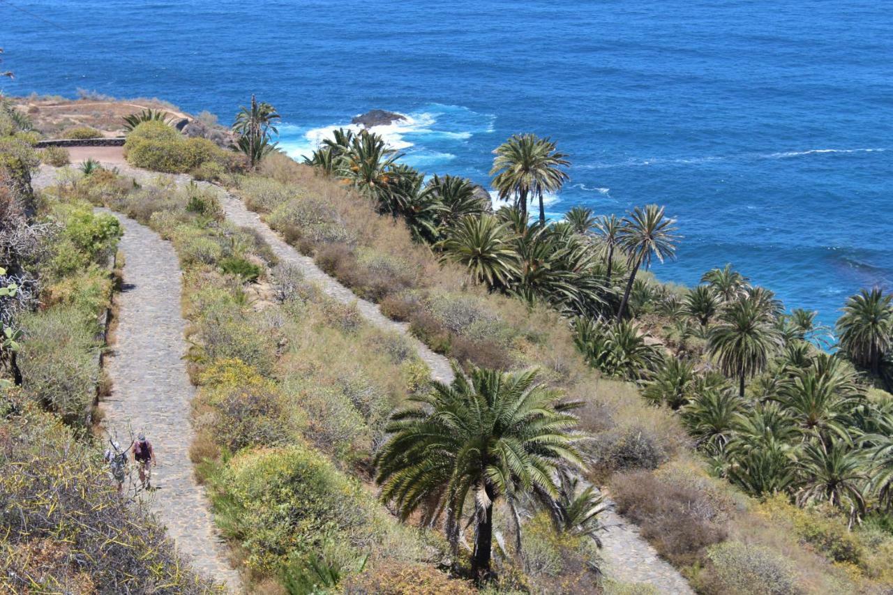 Holidaynorthtenerife Exotic Apartament Los Realejos Esterno foto